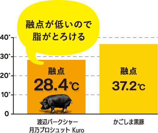 月乃プロシュットKuroは融点が低いので脂がとろける（28.4℃）